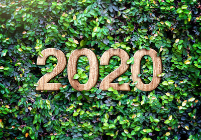 Garden Trends 2020