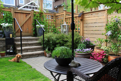 Paving Ideas for Creating a Relaxed Outdoor Space