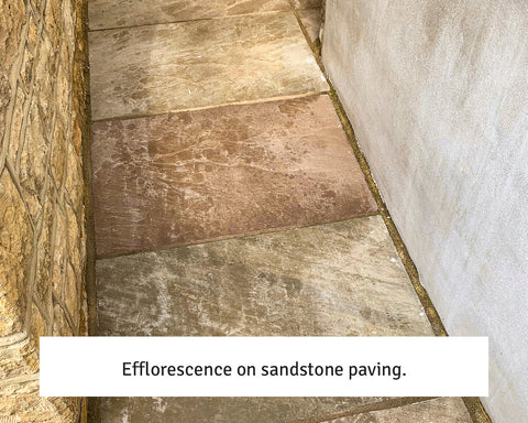EcoProTec Cement, Grout & Salt Remover