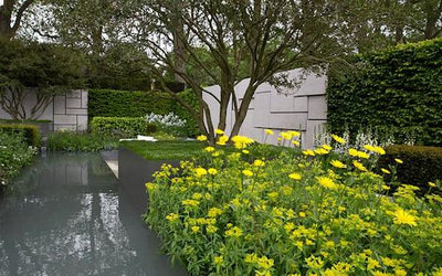 Highlights From RHS Chelsea Flower Show