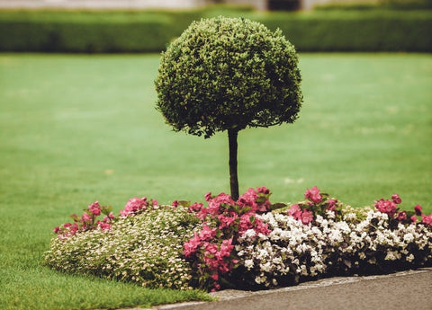 Garden Edging Ideas for Your Outdoor Space