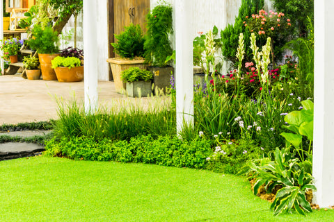 Garden Landscaping Ideas on a Budget