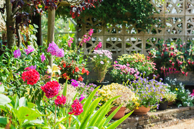 10 Quick and Easy Garden Updates on a Budget