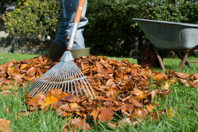 Get Your Garden Ready for Autumn With Our Tips
