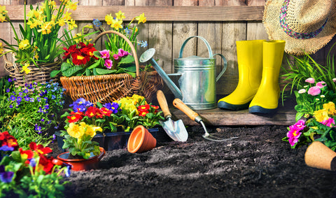 Long and Narrow Garden Ideas With Landscape World