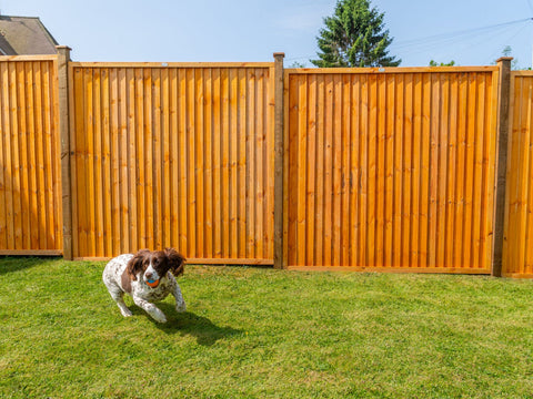 Superior Featheredge Panel 1.2m/4ft Green