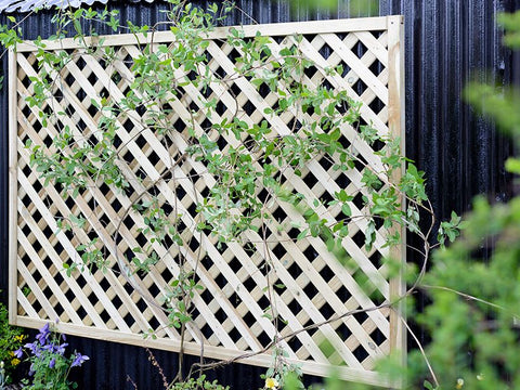 Elite Square Lattice Trellis (2 Sizes)