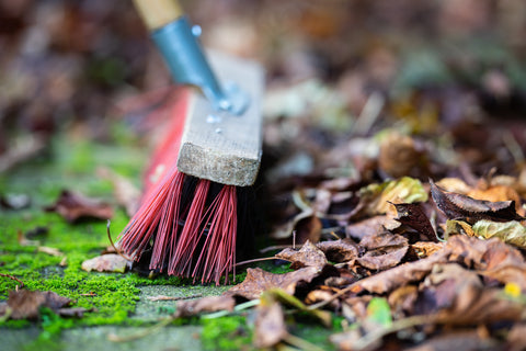 Winter Gardening Tips